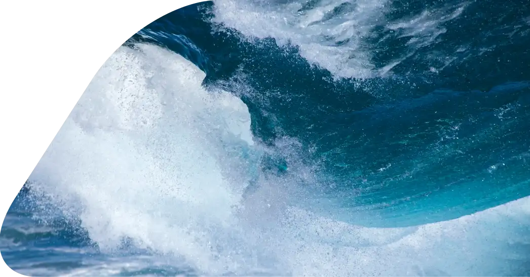 img Synopsis (2) vawes